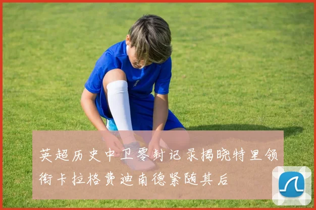 英超历史中卫零封记录揭晓特里领衔卡拉格费迪南德紧随其后
