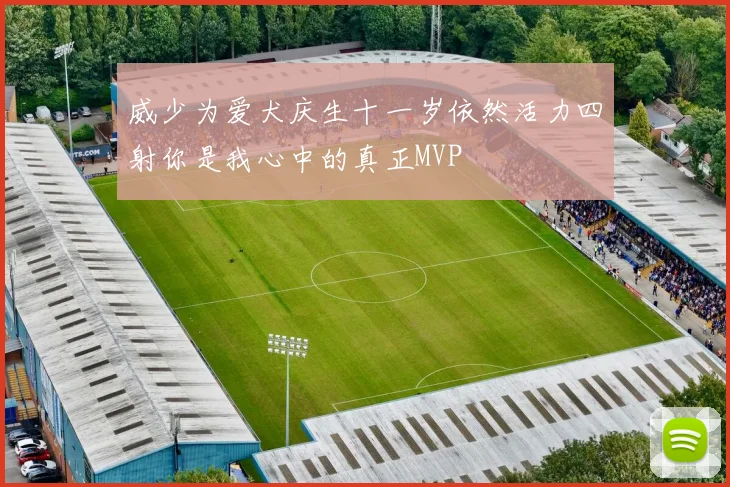 威少为爱犬庆生十一岁依然活力四射你是我心中的真正MVP