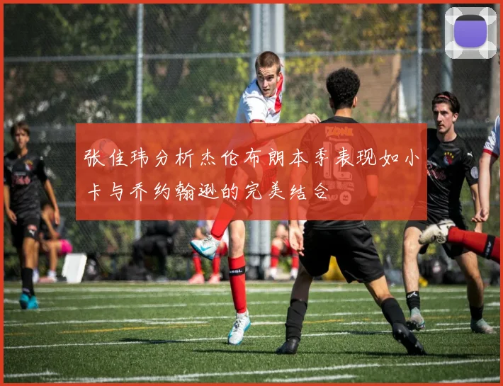 张佳玮分析杰伦布朗本季表现如小卡与乔约翰逊的完美结合