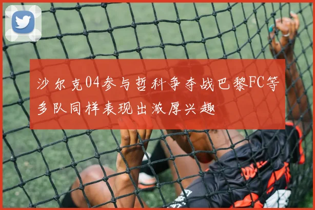 沙尔克04参与哲科争夺战巴黎FC等多队同样表现出浓厚兴趣