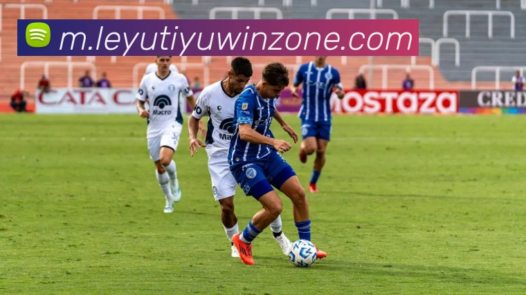 乐鱼体育服务体系